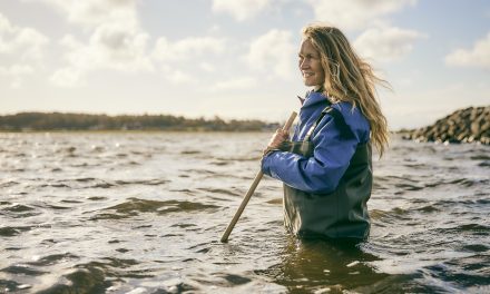 Milliondonation: Flere stenrev giver mere liv i Randers Fjord