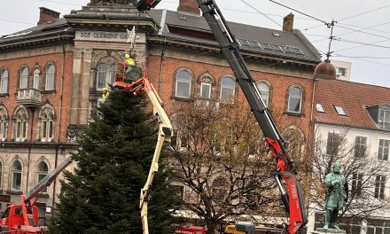 Se billederne: Randers gør klar til juletræstændingen på fredag