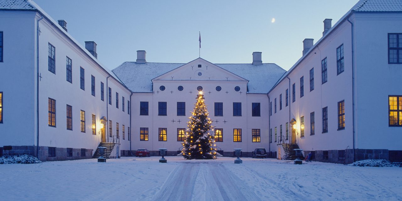 Kæmpe succes på slot gav lange køer og trængsel